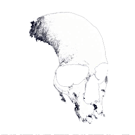 Raytonedeadfall Github