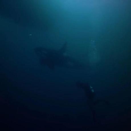 Github Wkluna Choi Burger - Best Mountain Textures in HD