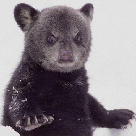 Github Jakelunn One Pace Plex Assistant A Cli Tool For Making The - Best Mountain Images in 8K