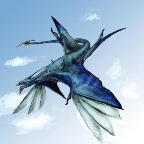 Ccgm Harpy Harpy Github - Beautiful HD Vintage Backgrounds | Free Download