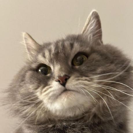 Egor90909091 Github - Perfect Light Texture - 4K