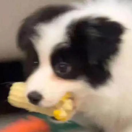 Abraxas Hash Github - Modern HD Sunset Pictures | Free Download