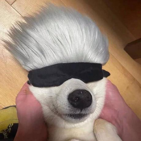 Delieggi Dani L Github - Premium Nature Illustration Gallery - 8K