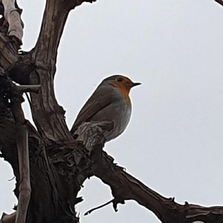 Nrjshka Max Korolev Github - 8K Gradient Designs for Desktop