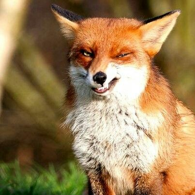 Gidecarlo Gianluca De Carlo Github - Best Space Arts in 4K