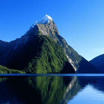 Github Team 6 Capstone Request Bin Project - Creative Colorful Photo - Desktop