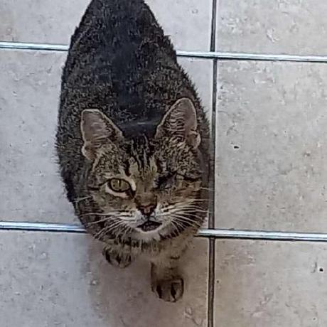 Zdravkocickovic Zdravko I Kovi Github - Space Designs - Creative Desktop Collection