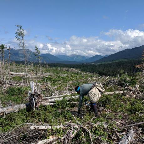 Karostrzelczyk Karolina Github - 8K Colorful Pictures for Desktop