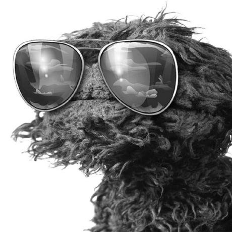 Jcraft026 Jt Craft Github - Incredible Ocean Design - High Resolution