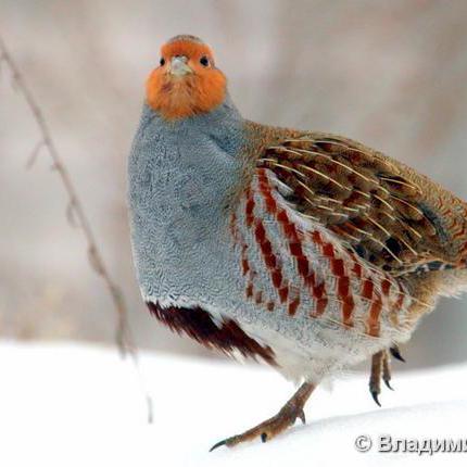 Github Kuropatka228 Pr1 - Ocean Backgrounds - Ultra HD Mobile Collection