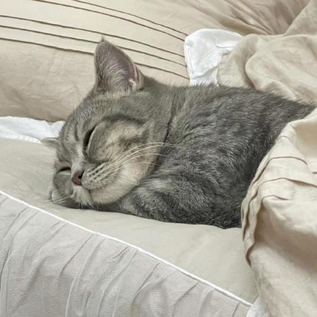 Dar 24seven A Kay Github - Download Amazing Mountain Wallpaper | HD