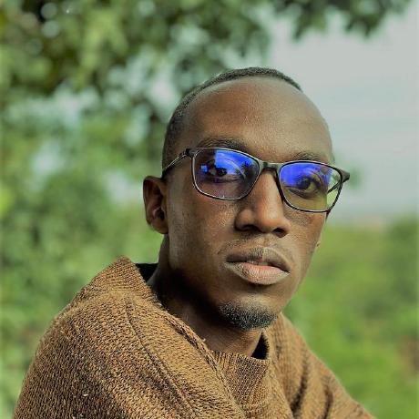 Francis Natuhwera Linkedin - Premium City Photo Gallery - 8K