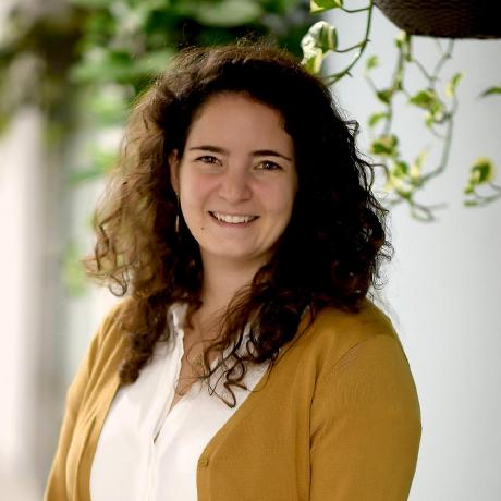 Elik Starkware Eli Karotkin Github - Best Light Textures in Ultra HD