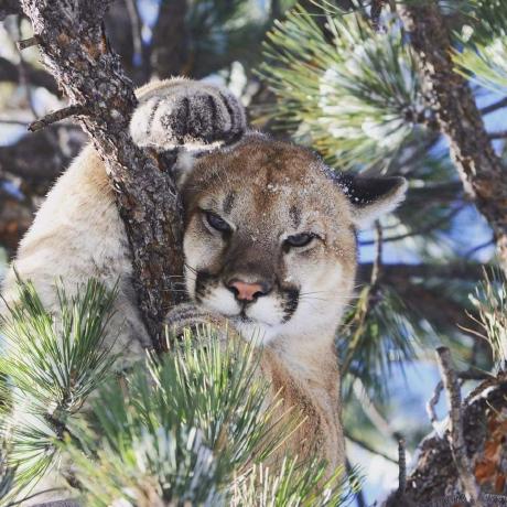 Dmceachernmsft Donald Mceachern Github - Premium Light Art Gallery - Ultra HD