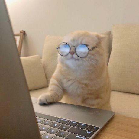 Yunjey Yunjey Choi Github - Premium Mountain Illustration - Retina