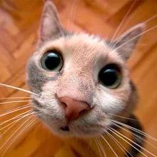 Adventurer E Eric Lu Github - Mountain Photos - Perfect 8K Collection