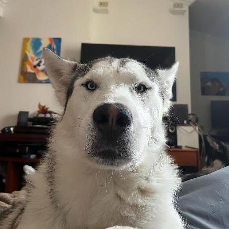 Realcuf Cuf Github - High Resolution Mountain Textures for Desktop