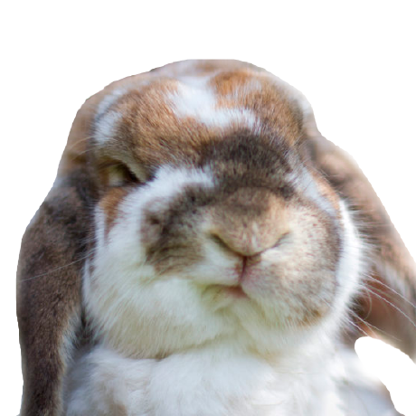 Krolldevelopment Christopher Kroll Github - Landscape Illustration Collection - Mobile Quality