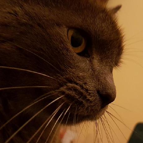 Dmaixner Moro Github - Download Incredible Gradient Illustration | 8K