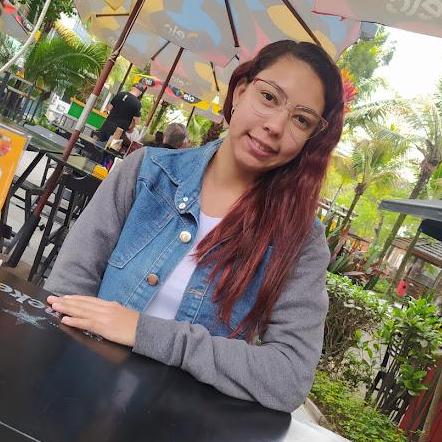 Vitoria Dev Github - Elegant Colorful Illustration - 8K