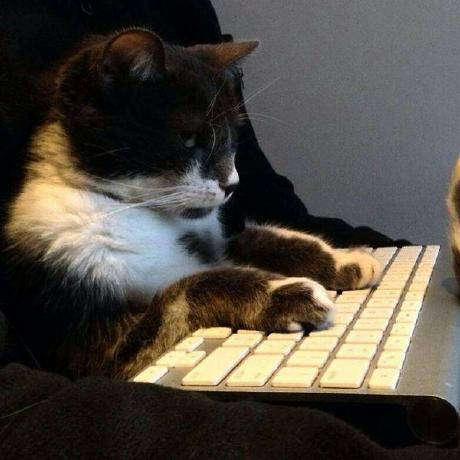 Ericksamera Erick Samera Github - Premium Gradient Texture Gallery - 4K