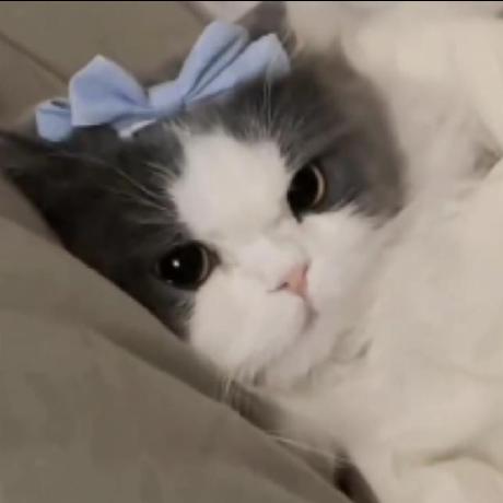 Sana Kh Github - Light Illustrations - Gorgeous Retina Collection