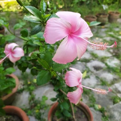 Github Slime73 Love Experiments Experimental And Work In Progress - Premium Ocean Image Gallery - 8K