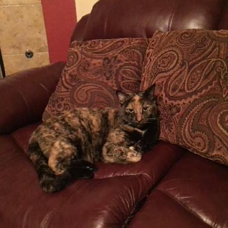 Angie An Github - Classic Ocean Picture - Full HD