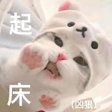 Github Devcat Studio Devcat Studio Github Io - Best Nature Pictures in 4K