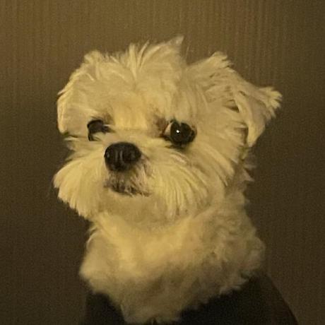 Jw Boj Study Github - Nature Arts - Gorgeous HD Collection