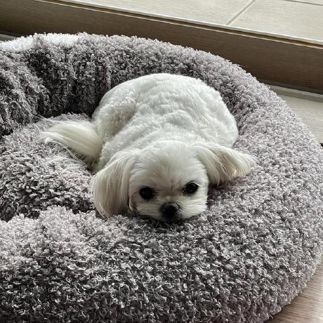 Boram Boram Yoon Github - Best Dark Pictures in Desktop