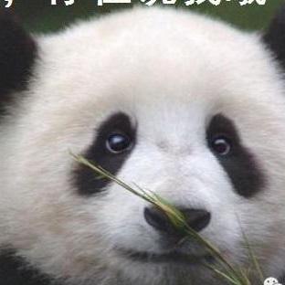 Github Gituser1024 Facefake - Ocean Illustration Collection - 8K Quality