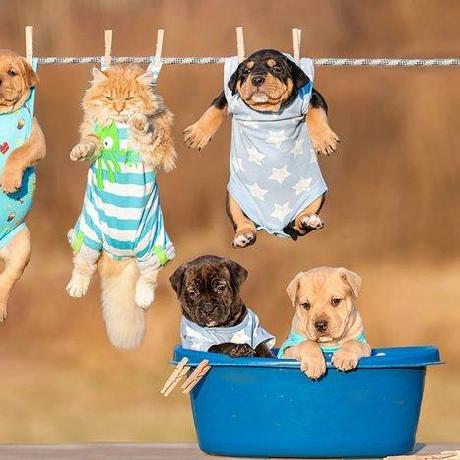 Naomi Obeng Github - Modern 8K Colorful Pictures | Free Download