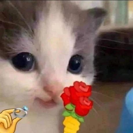 Aleksandra Spirina Aleksandra Github - Classic City Illustration - Desktop