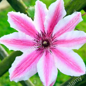 Nelly Eth Github - Download Gorgeous Space Illustration | Mobile