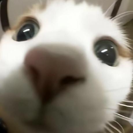 Xysunn Xueyao Sun Github - Minimal Patterns - Creative 8K Collection