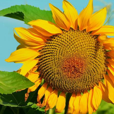 Github Liverpoolfc29 Testandroidgame - HD Dark Backgrounds for Desktop