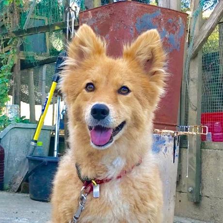 An San Ansan Github - Colorful Background Collection - Desktop Quality