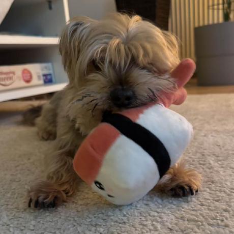 Schwabdavid David Github - Space Backgrounds - Elegant High Resolution Collection