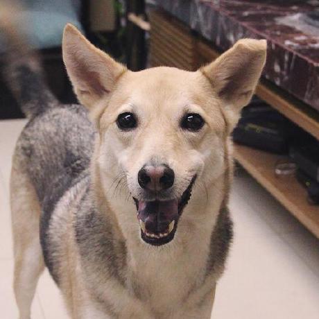 Github Yu Rp Sn Dlcn - Ultra HD Dark Design - Retina