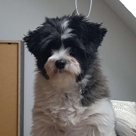 Oscar Lundberg Github - Space Pictures - Artistic 8K Collection