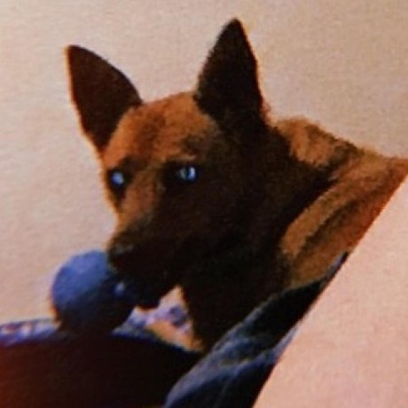 Matmaximusprime Matmaximus Prime Github - Abstract Designs - Modern 4K Collection