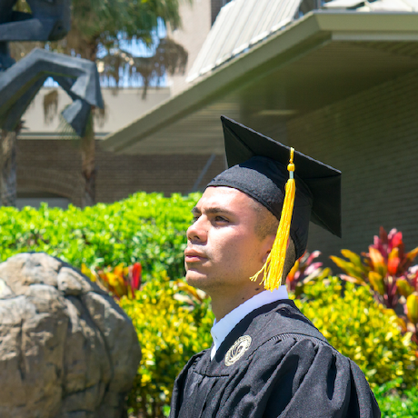 Luisalejandro Gomez Github - Professional Ultra HD Nature Textures | Free Download