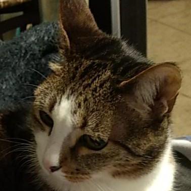 John Sg John Sandoval Github - Premium Minimal Texture - High Resolution