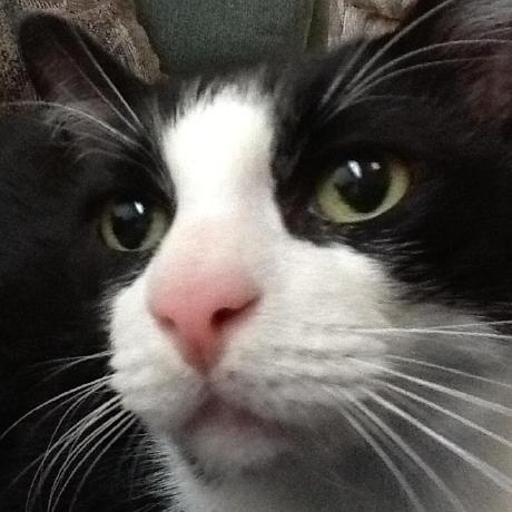 Sterni Stern Github - HD Ocean Pictures for Desktop