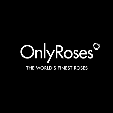 Roses Github - Best Sunset Wallpapers in Mobile
