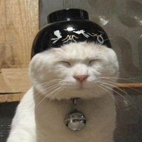 Anselotti Anssi Kosunen Github - Best Ocean Designs in Desktop