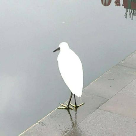 Yuhan 3 Github - Retina City Images for Desktop