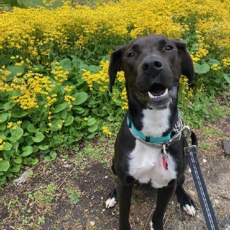 Grace40407 Grace Github - Premium Landscape Art Gallery - Desktop