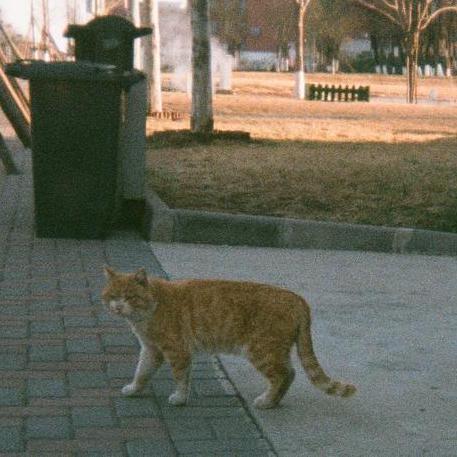 Chiangjim Chiang Jim Github - Premium Mobile Minimal Photos | Free Download